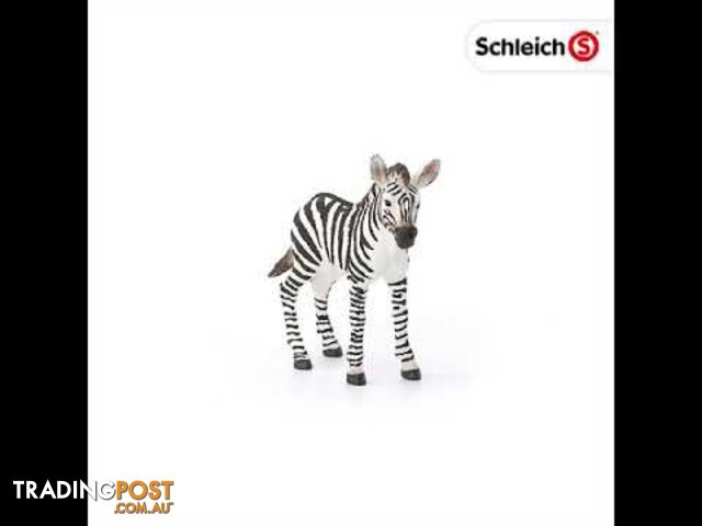 Schleich - Zebra Foal Sc14811 - 4055744020797