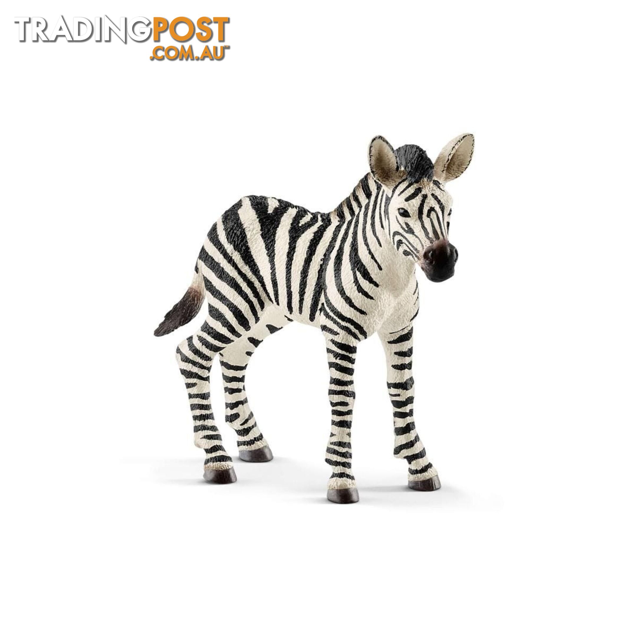 Schleich - Zebra Foal Sc14811 - 4055744020797
