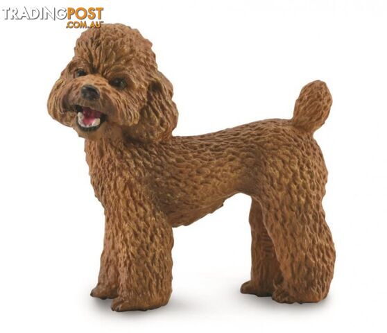 CollectA Poodle Dog Animal Figurine - Rpco88880 - 4892900888804
