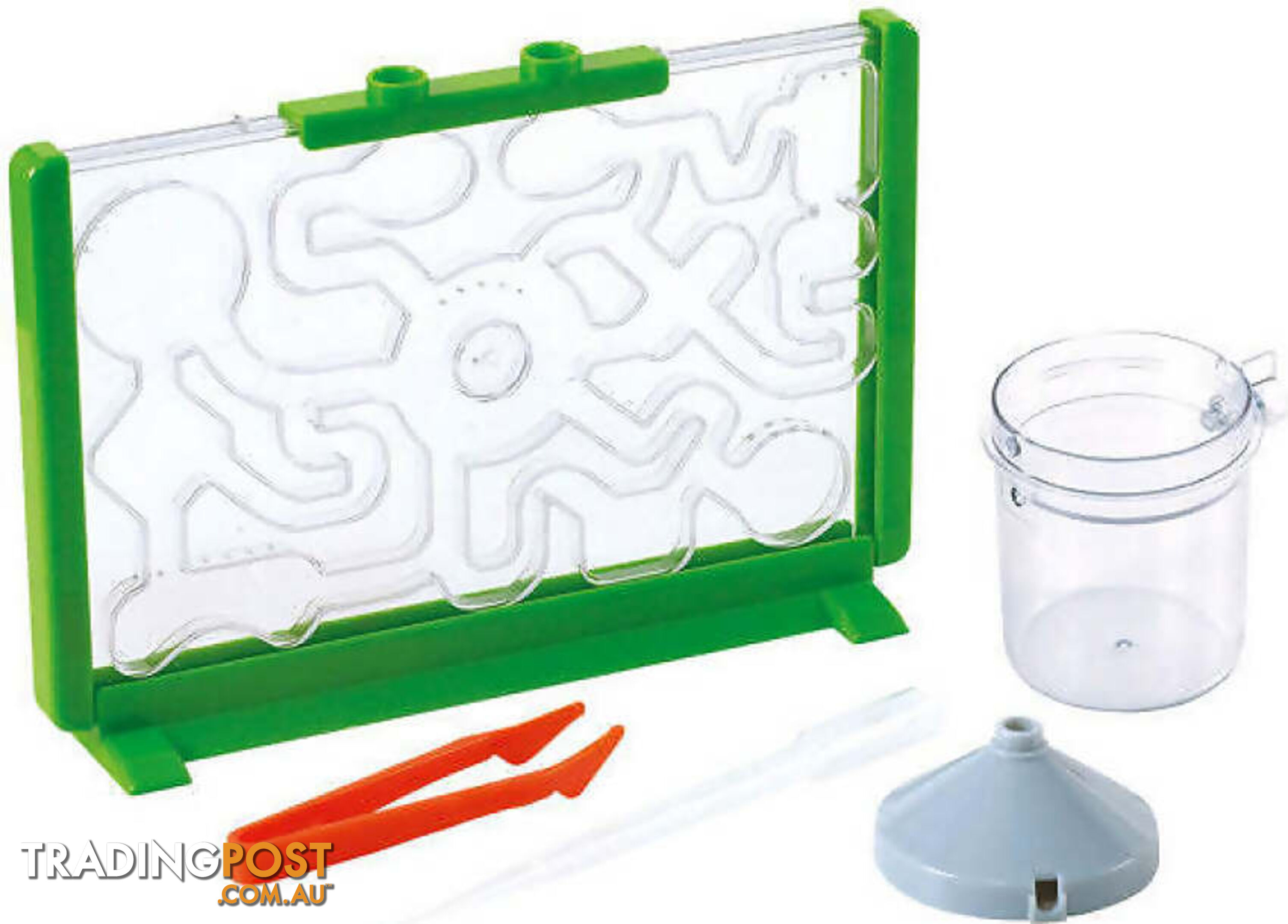 Playgo Toys Ent. Ltd. - Ant Farm Discovery- Art60296 - 4892401057051