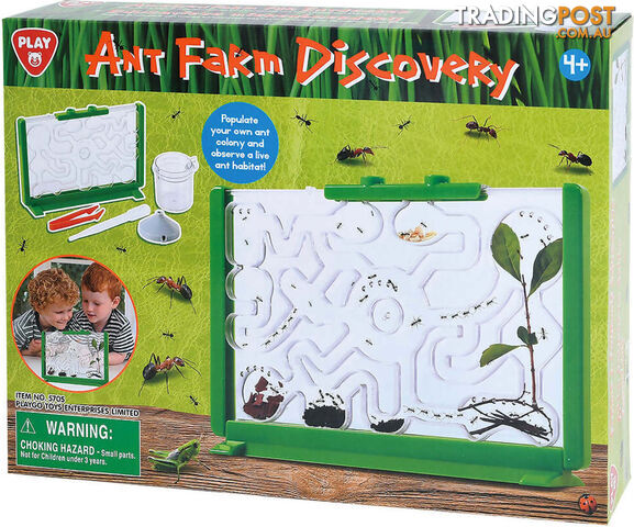 Playgo Toys Ent. Ltd. - Ant Farm Discovery- Art60296 - 4892401057051