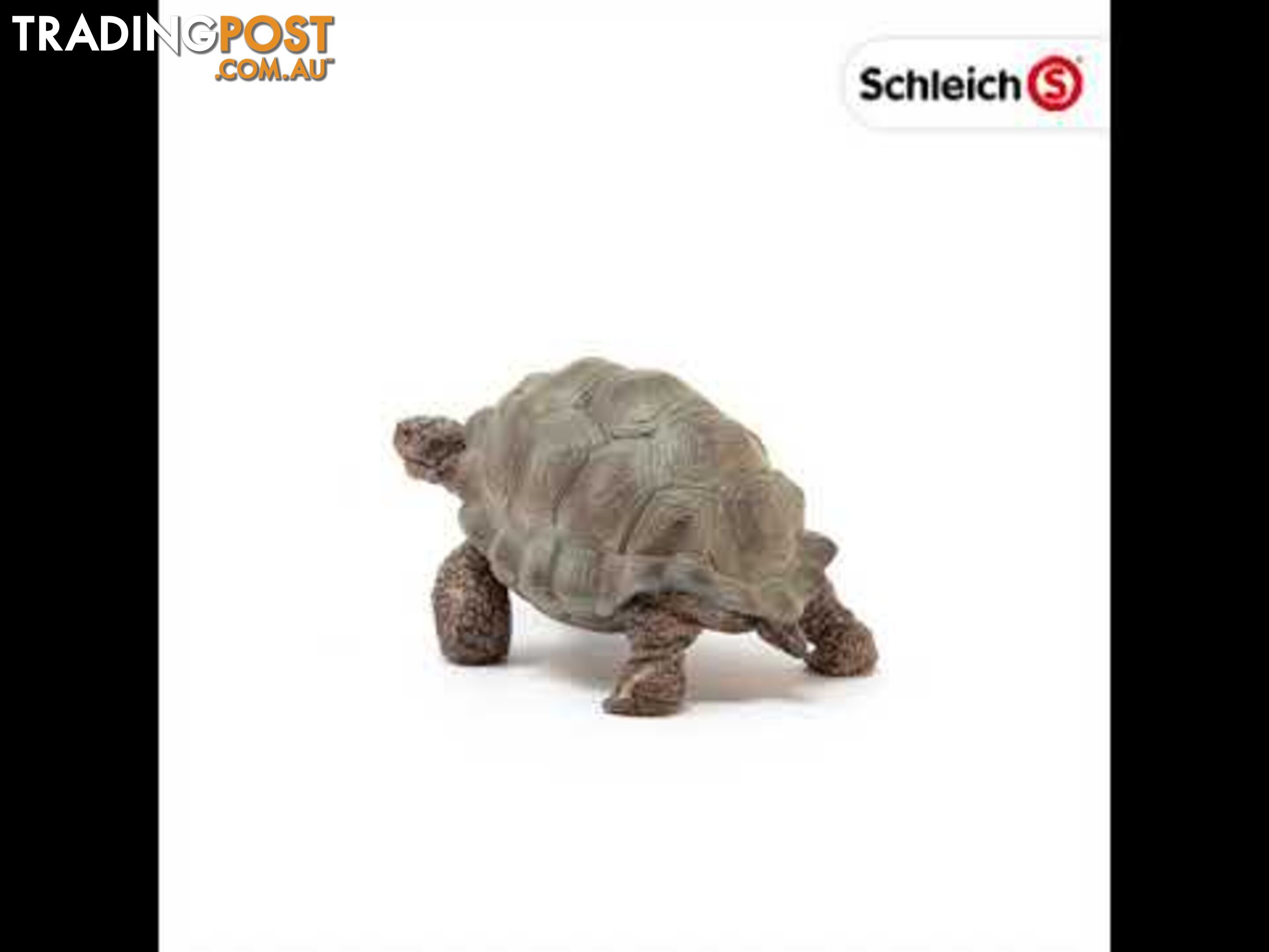 Schleich - Giant Tortoise Sc14824 - 4055744033667