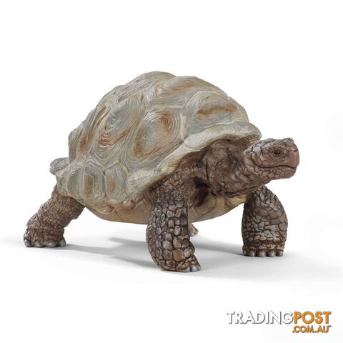 Schleich - Giant Tortoise Sc14824 - 4055744033667