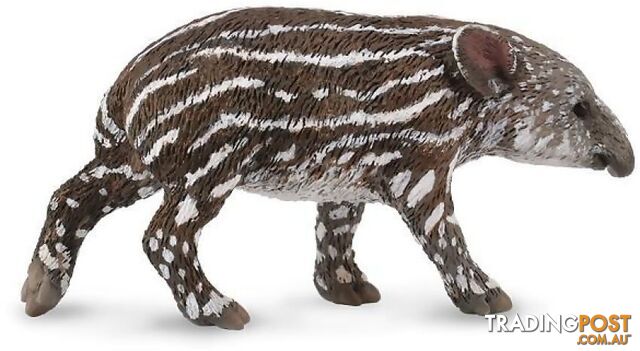 CollectA - Bairds Tapir Baby Small Wild Animal Figurine - Rpco88597 - 4892900885971