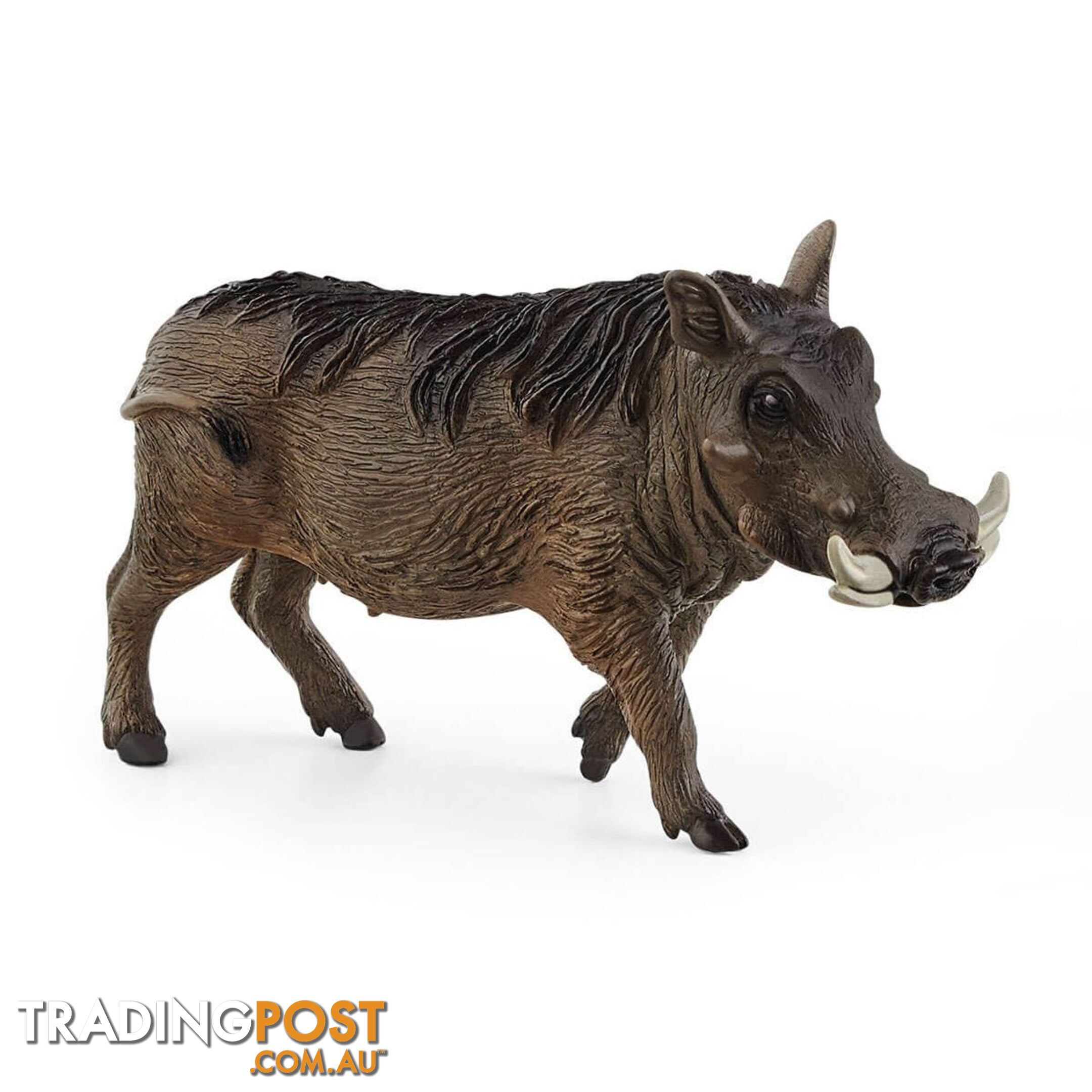 Schleich - Warthog Sc14843 - 4059433327068