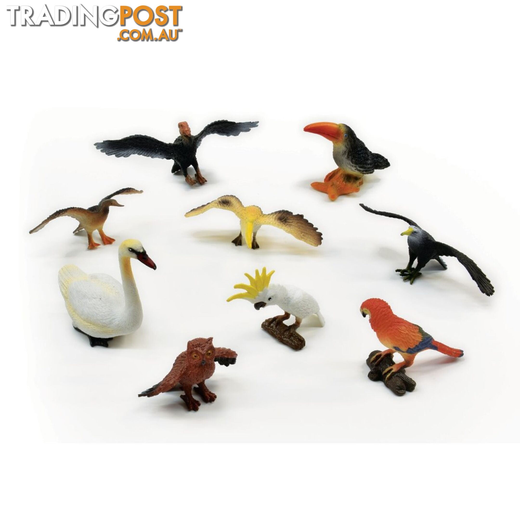 Bird World 9 Piece Animal Set Art64266 - 5018621210482