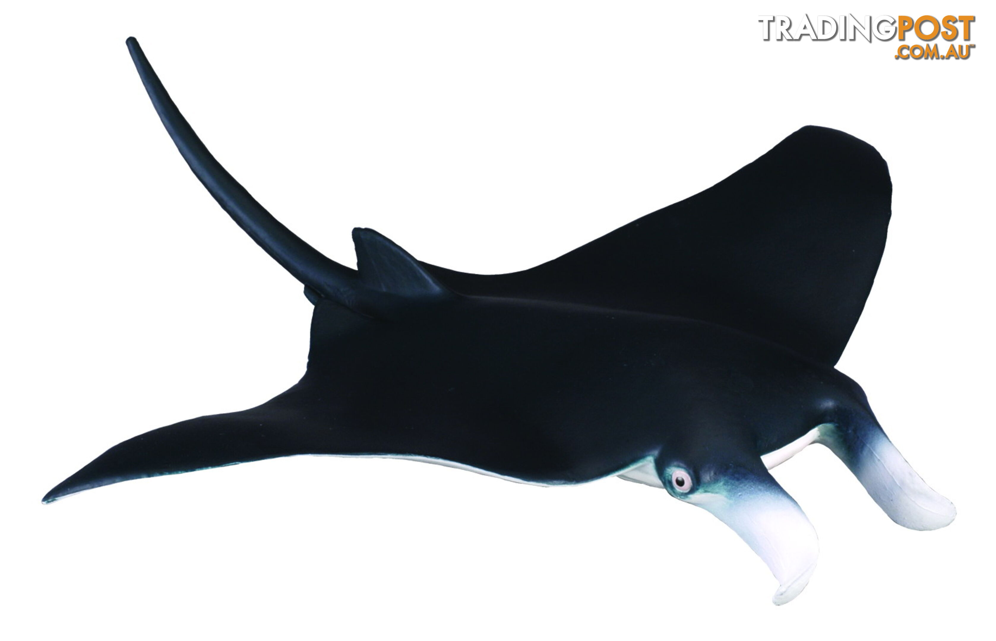 CollectA Manta Ray Animal Figurine - Rpco88040 - 4892900880402