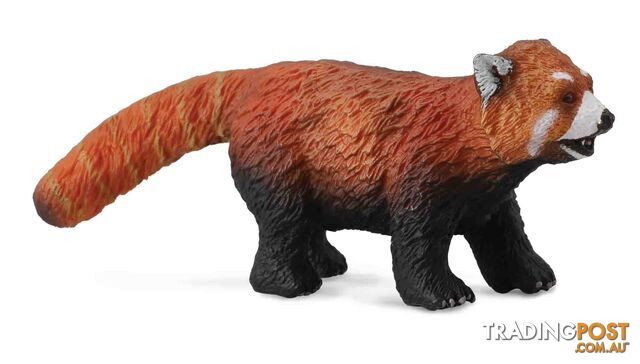 CollectA Red Panda Medium Animal Figurine - Rpco88536 - 4892900885360