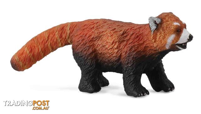 CollectA Red Panda Medium Animal Figurine - Rpco88536 - 4892900885360