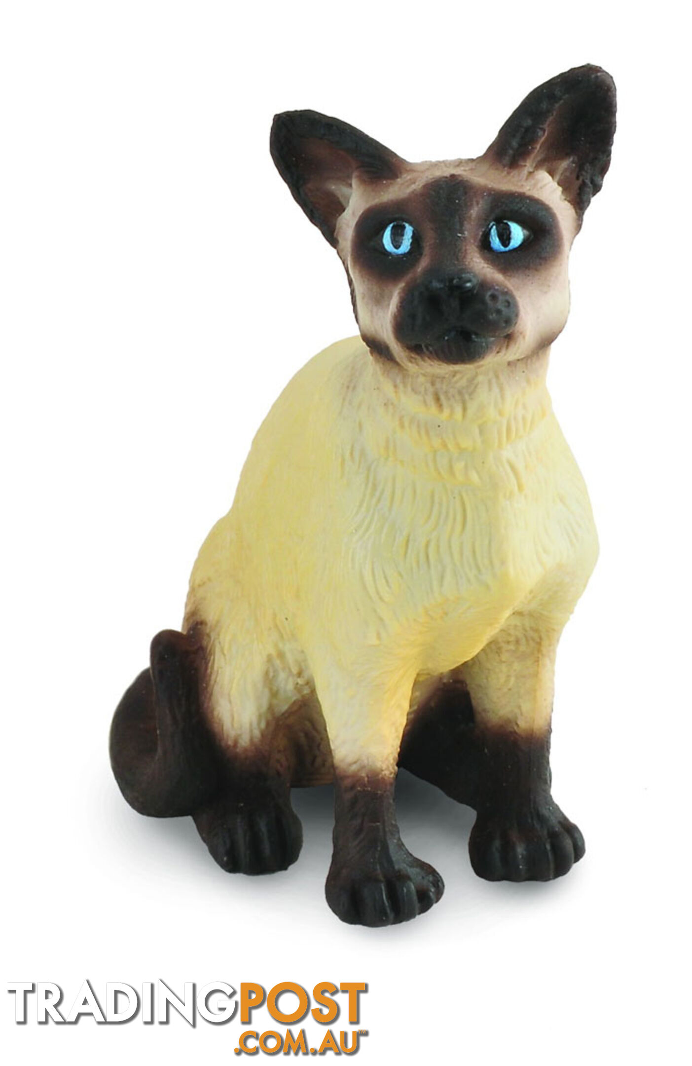 CollectA Siamese Cat Sitting Animal Figurine - Rpco88331 - 4892900883311