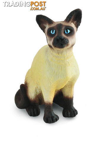 CollectA Siamese Cat Sitting Animal Figurine - Rpco88331 - 4892900883311