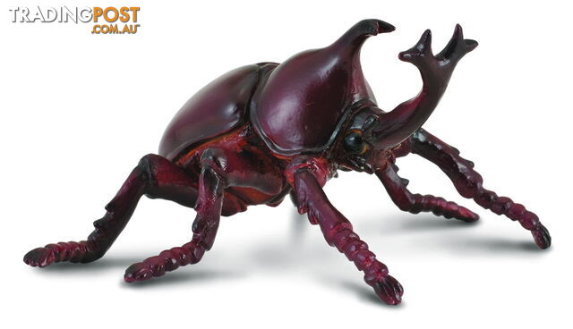CollectA Rhinoceros Beetle Animal Figurine - Rpco88337 - 4892900883373
