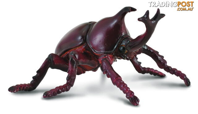 CollectA Rhinoceros Beetle Animal Figurine - Rpco88337 - 4892900883373