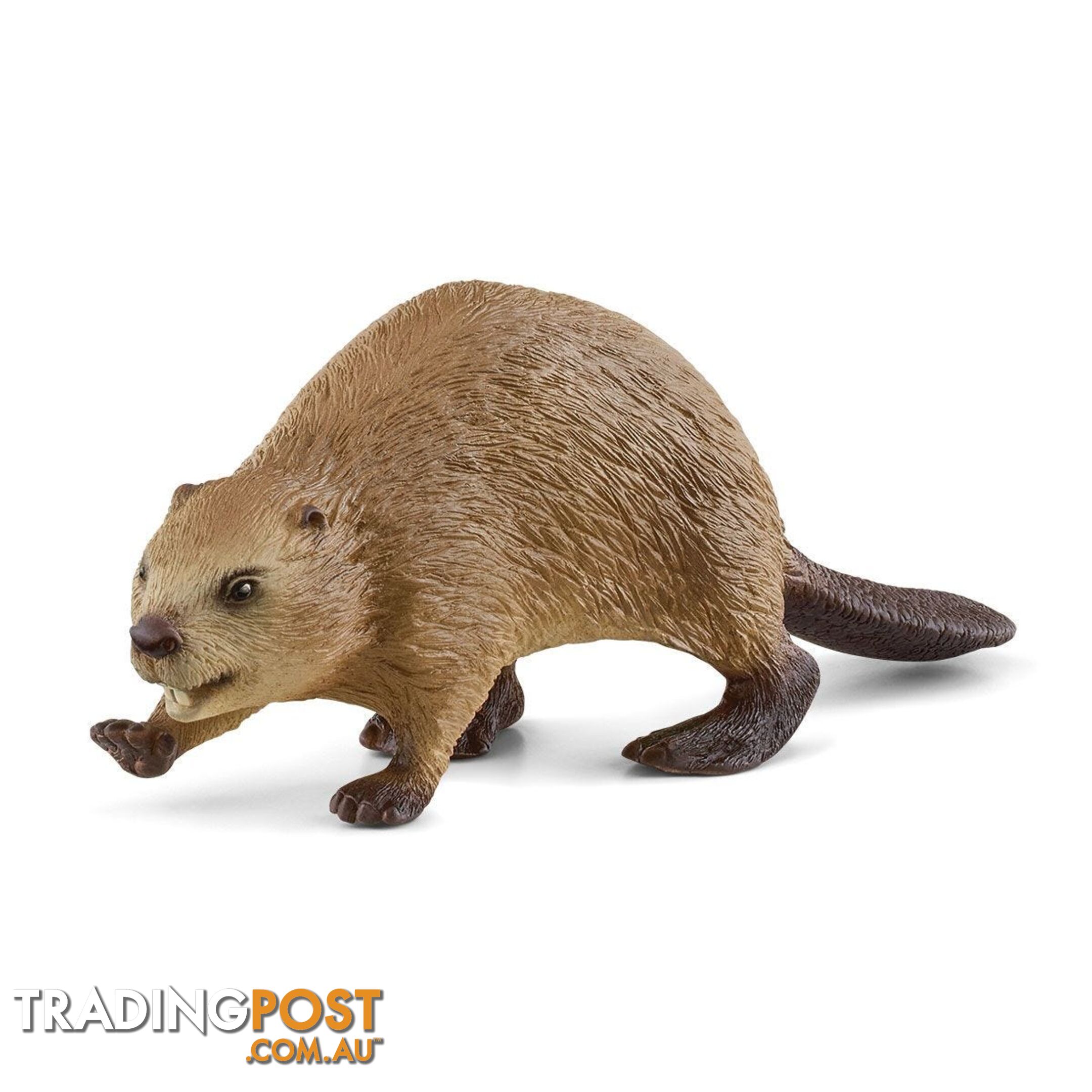 Schleich - Beaver   Wildlife Animal Figurine Sc14855 - 4059433364582