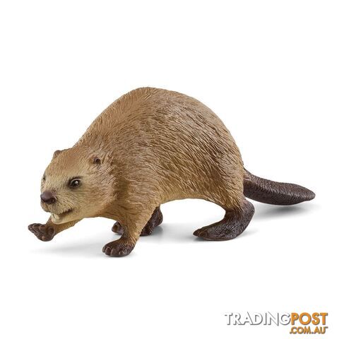 Schleich - Beaver   Wildlife Animal Figurine Sc14855 - 4059433364582