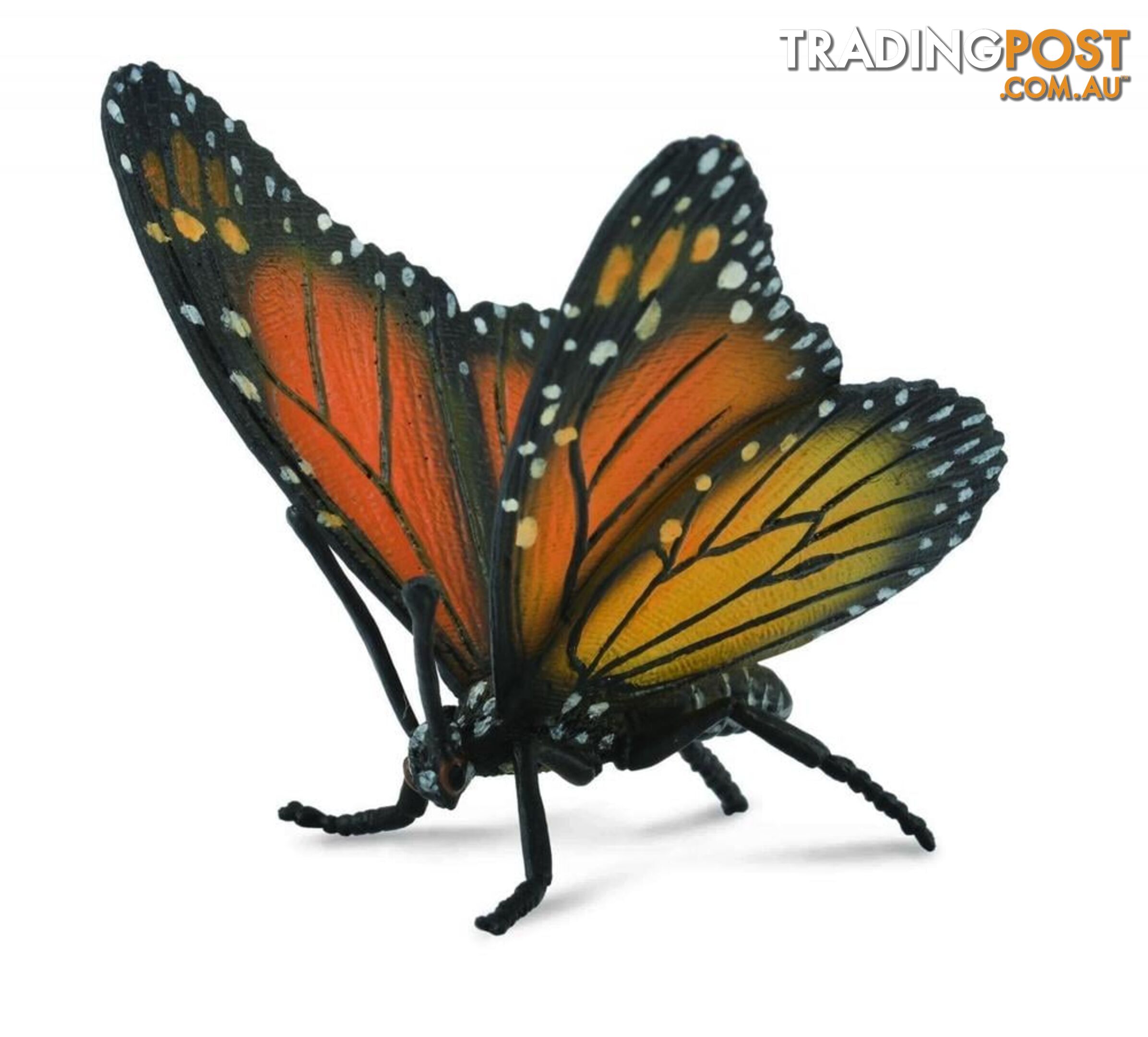 CollectA Monarch Butterfly Animal Figurine - Rpco88598 - 4892900885988