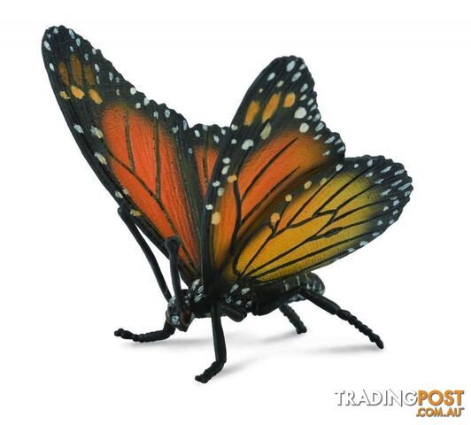 CollectA Monarch Butterfly Animal Figurine - Rpco88598 - 4892900885988