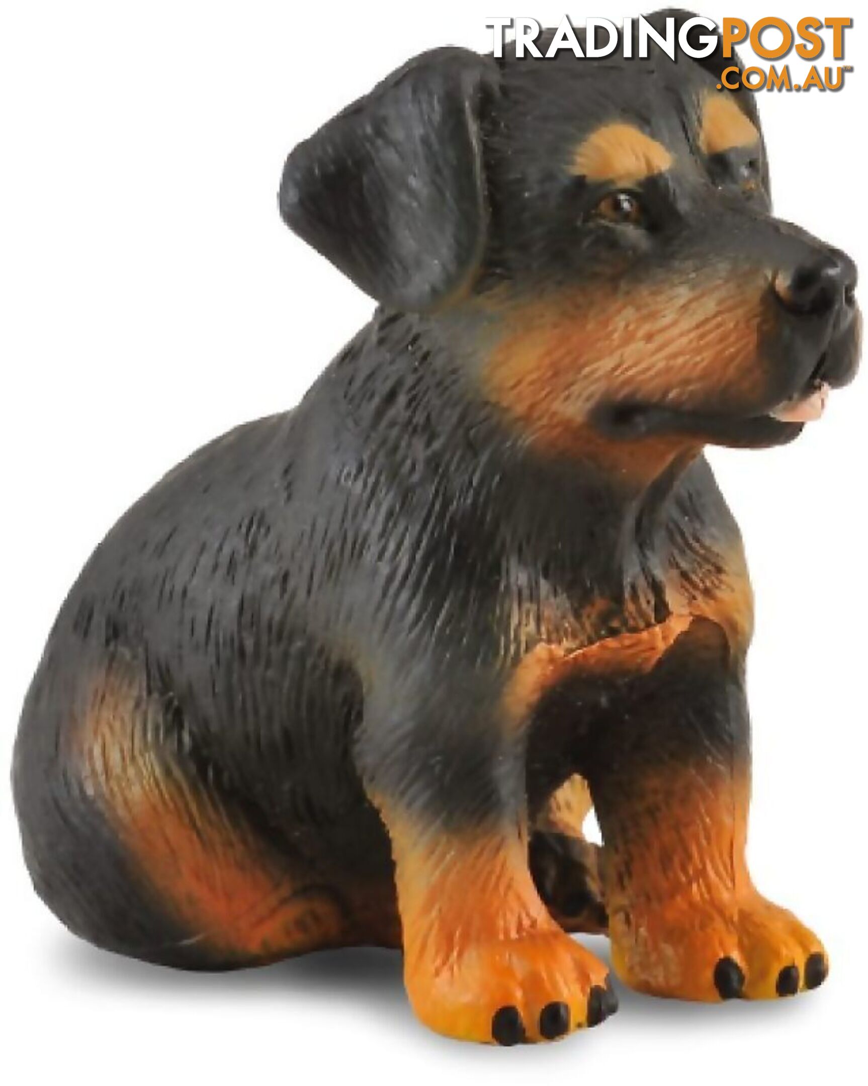 CollectA - Rottweiler Puppy Dog Small Figurine - Rpco88190 - 4892900881904