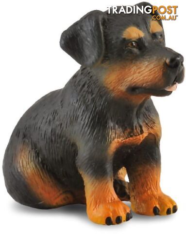 CollectA - Rottweiler Puppy Dog Small Figurine - Rpco88190 - 4892900881904