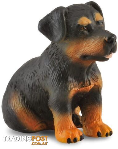 CollectA - Rottweiler Puppy Dog Small Figurine - Rpco88190 - 4892900881904