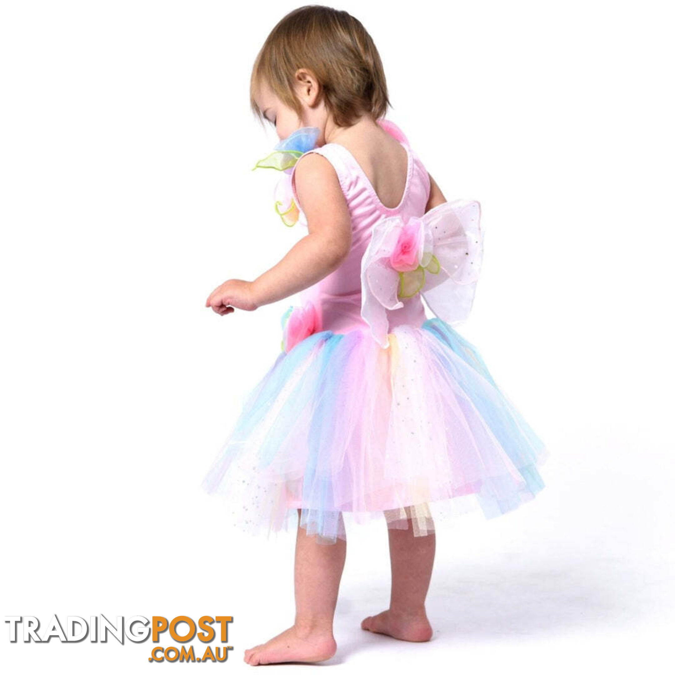 Fairy Girls - Costume Fairy Pastel Toddler X-small - Fgfb258 - 9787117032582