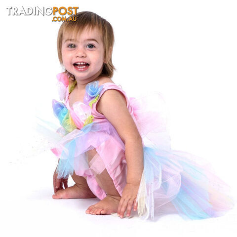 Fairy Girls - Costume Fairy Pastel Toddler X-small - Fgfb258 - 9787117032582