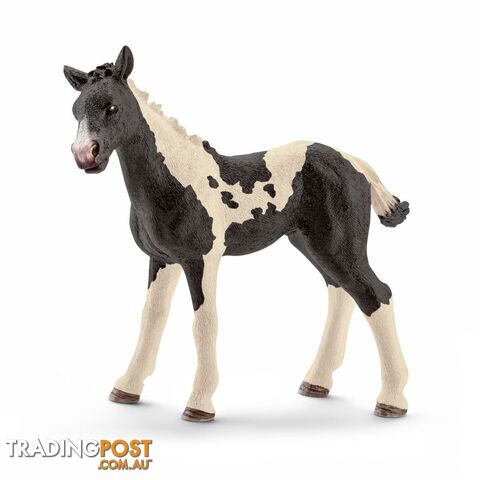 Schleich - Pinto Foal  Farm World Animal Figurine Sc13803 - 4005086138032