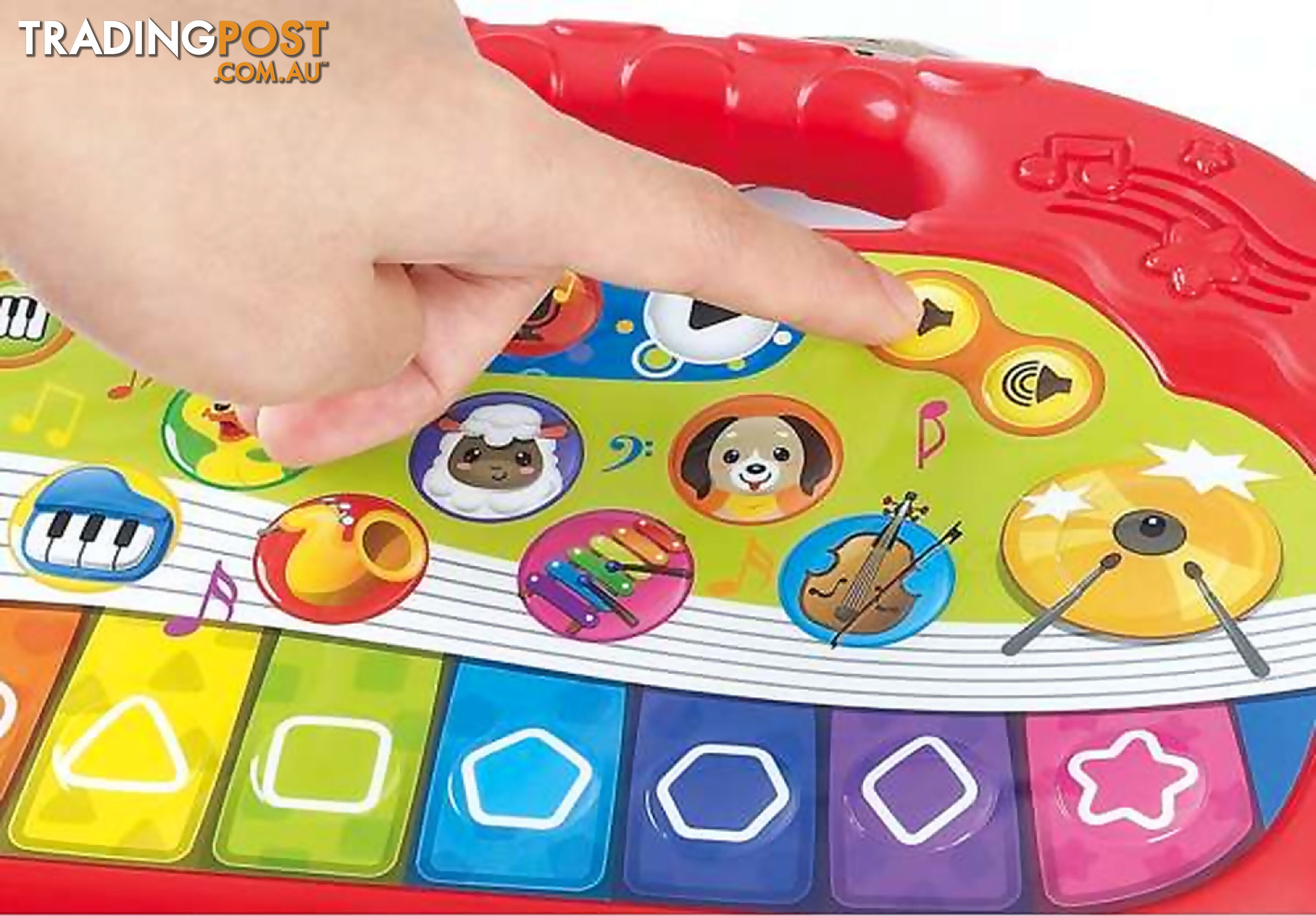 Playgo Toys Ent. Ltd. - Animal Orchestra Keyboard - Art66131 - 4892401013507