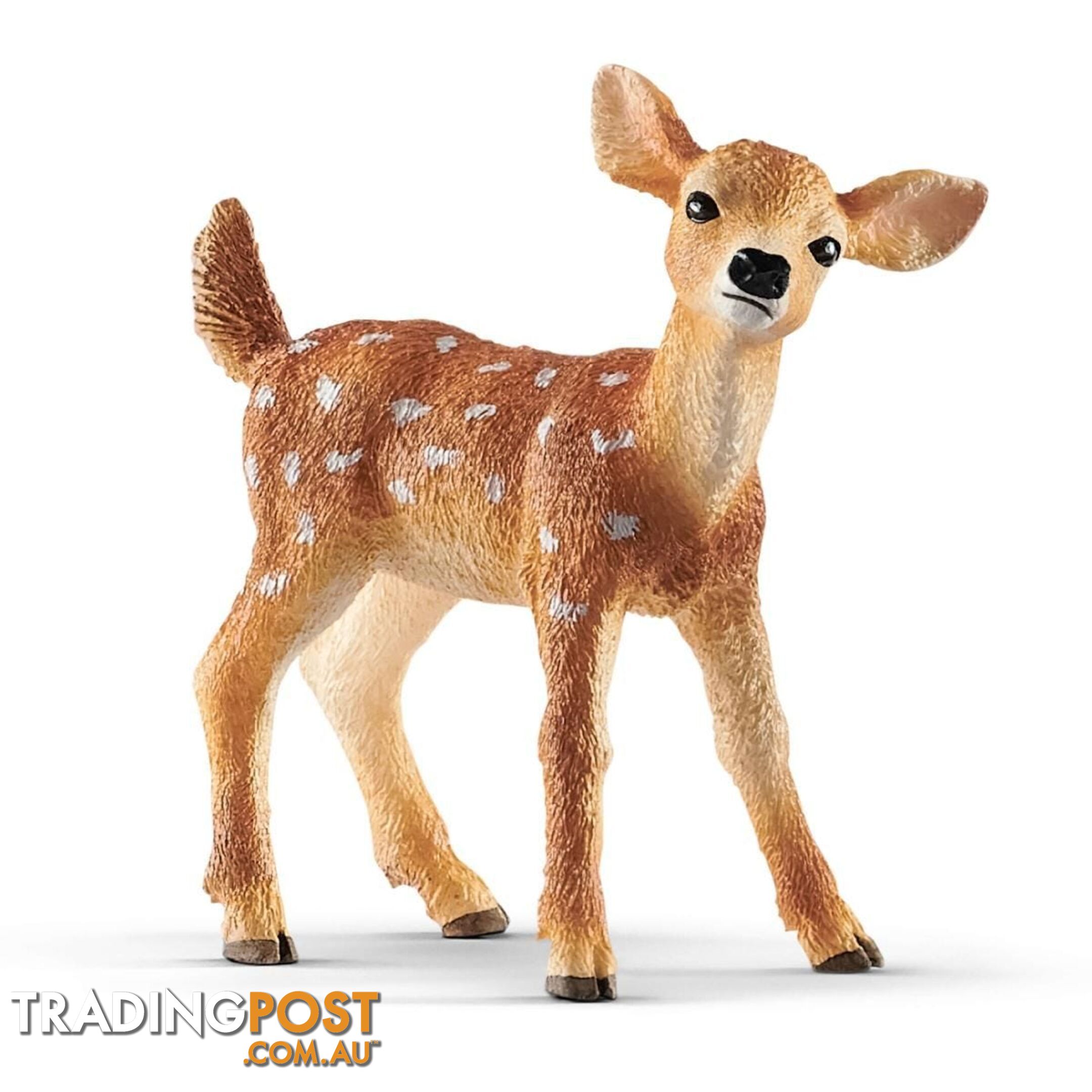 Schleich - White Tailed Fawn Sc14820 - 4055744029622