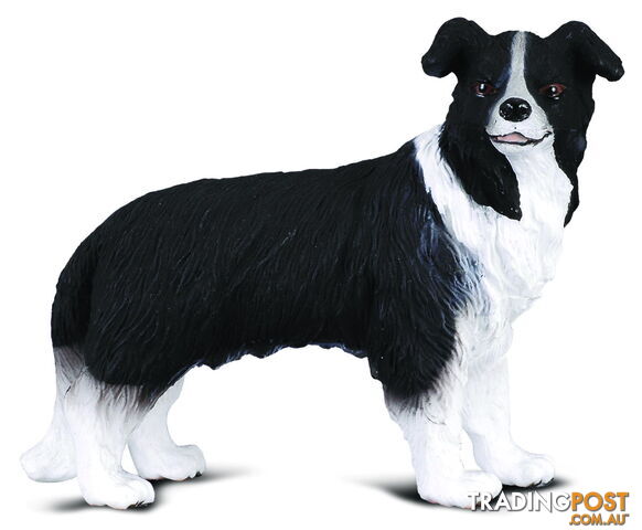 CollectA Border Collie Dog Medium Animal Figurine - Rpco88010 - 4892900880105
