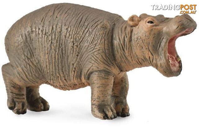 CollectA - Hippopotamus Calf Small Animal Figurine - Rpco88090 - 4892900880907