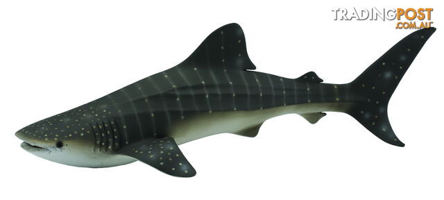 CollectA Whale Shark Extra Large Ocean Animal Figurine - Rpco88453 - 4892900884530