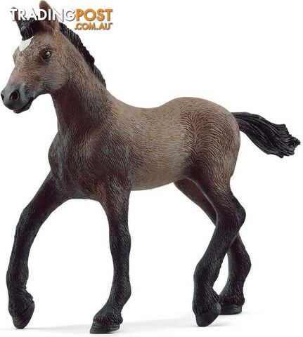 Schleich - Peruvian Paso Foal - Mdsc13954 - 4059433668956