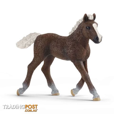 Schleich - Black Forest Foal  Farm World Animal Figurine Sc13899 - 4059433039589