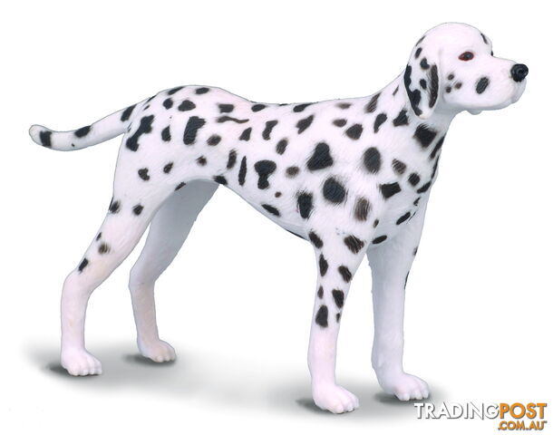 CollectA Dalmatian Dog Medium Animal Figurine - Rpco88072 - 4892900880723