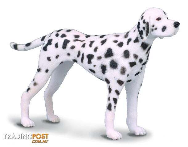 CollectA Dalmatian Dog Medium Animal Figurine - Rpco88072 - 4892900880723