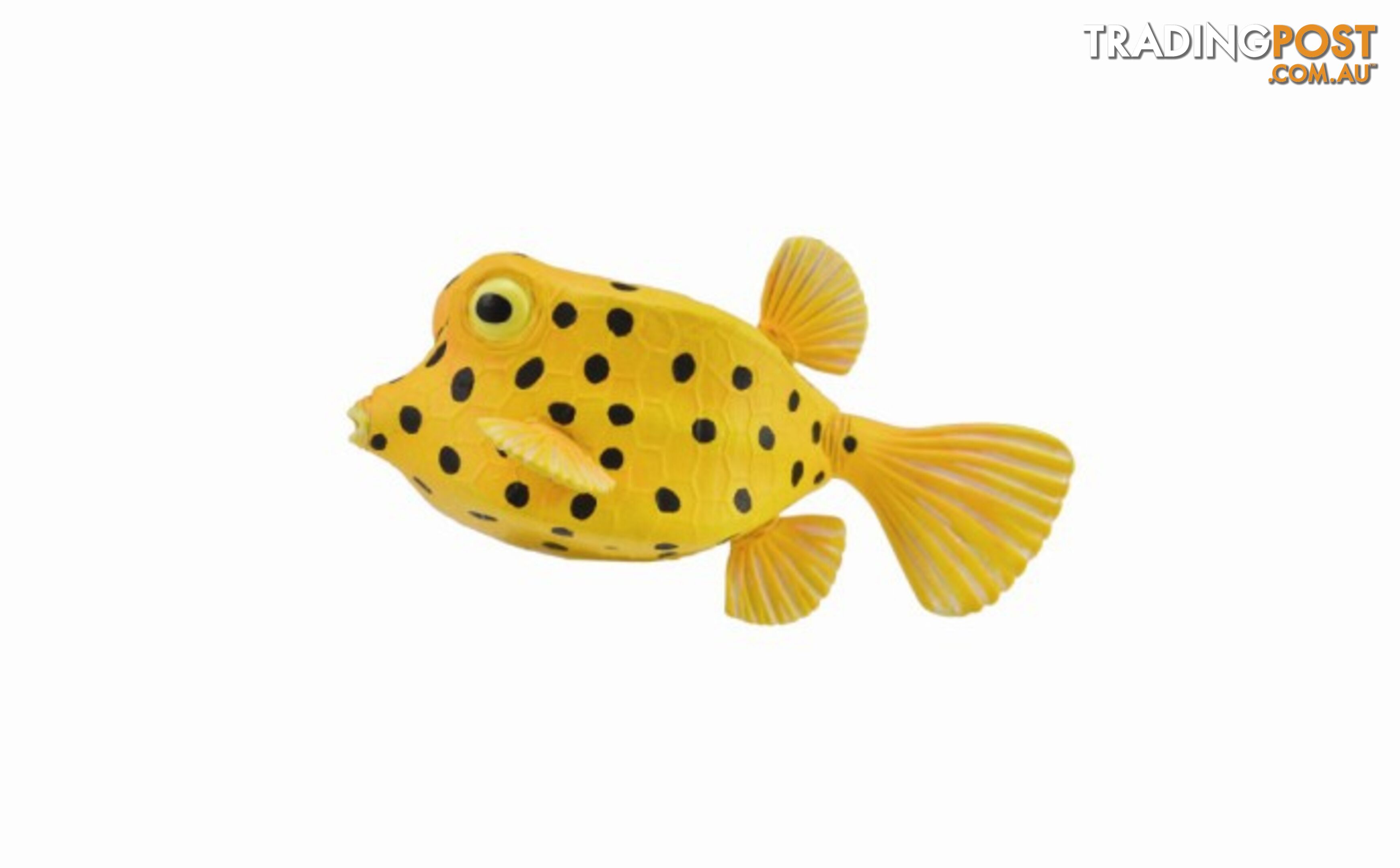 CollectA Boxfish Small Animal Figurine - Rpco88788 - 4892900887883