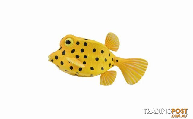 CollectA Boxfish Small Animal Figurine - Rpco88788 - 4892900887883