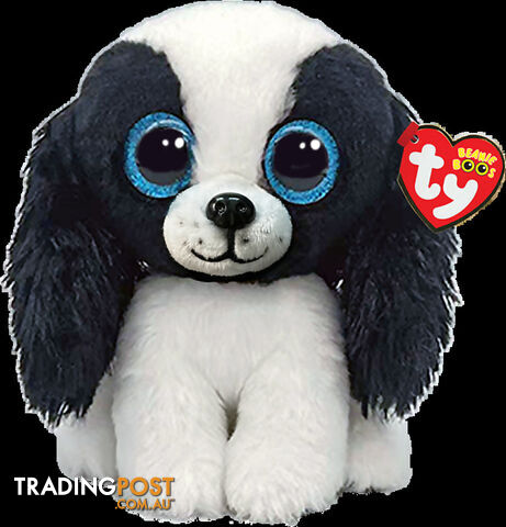 Ty - Beanie Boos - Sissy Black And White Dog Small 15cm - Bg36570 - 008421365708