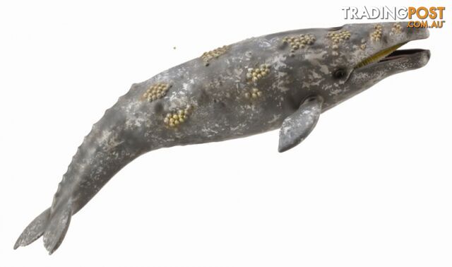 CollectA Gray Whale Extra Large Animal Figurine - Rpco88836 - 4892900888361
