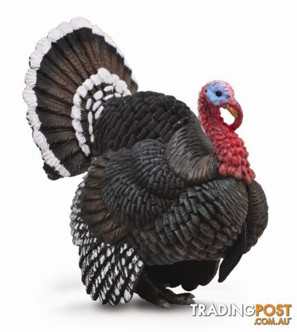 CollectA Turkey Large Animal Figurine - Rpco88762 - 4892900887623