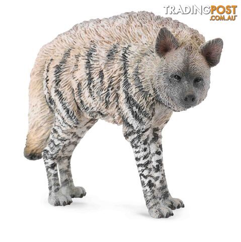 CollectA Striped Hyena Medium Animal Figurine - Rpco88566 - 4892900885667