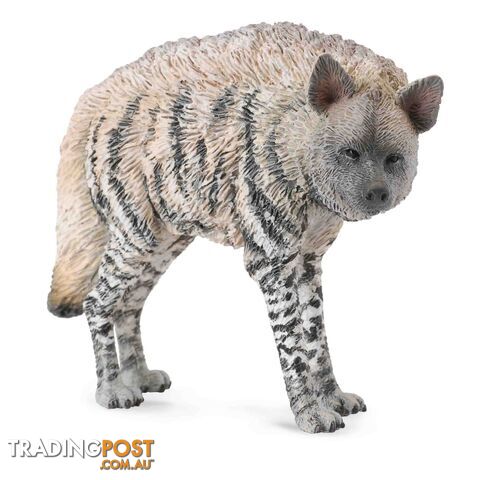 CollectA Striped Hyena Medium Animal Figurine - Rpco88566 - 4892900885667