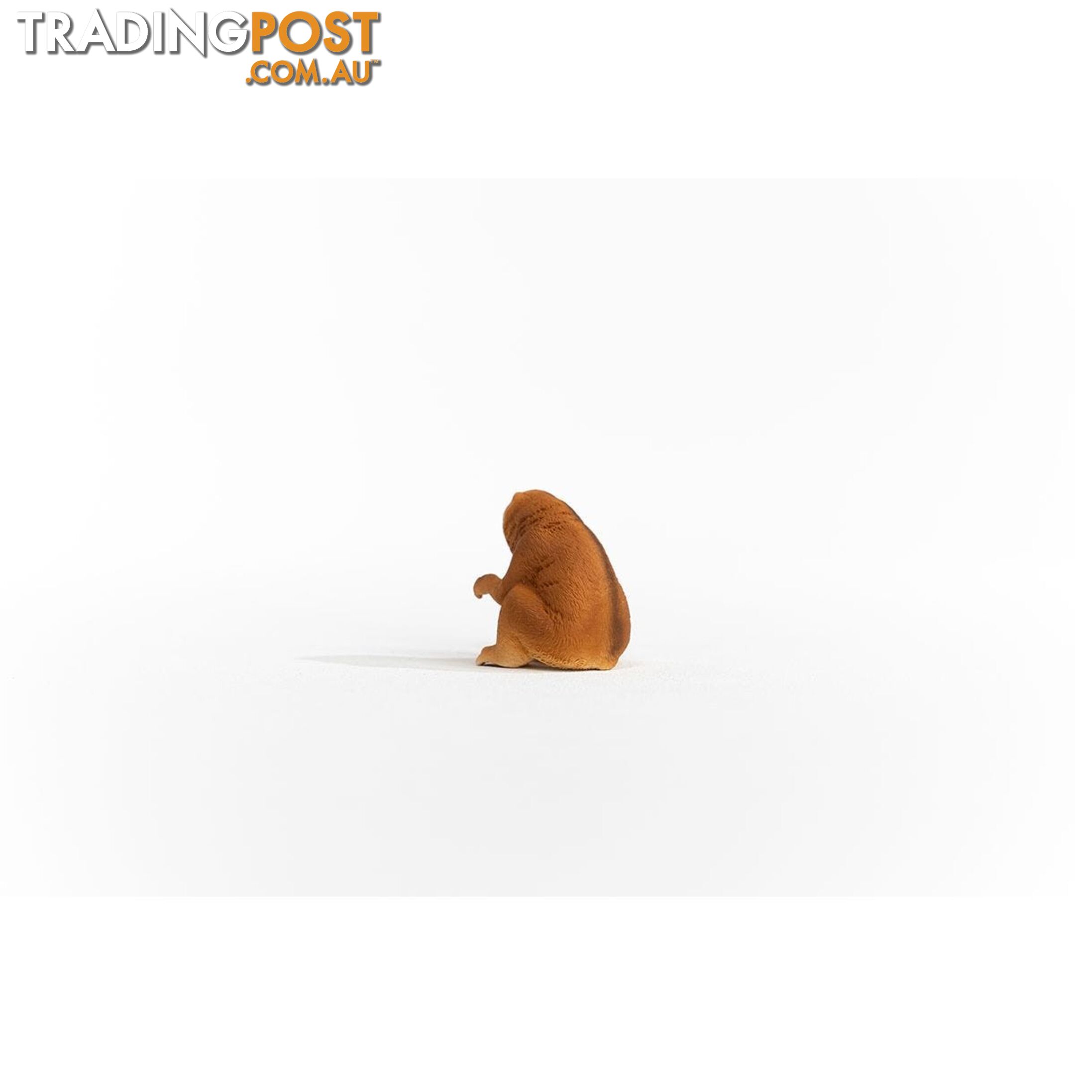 Schleich - Slow Loris Figurine - Mdsc14852 - 4059433454412
