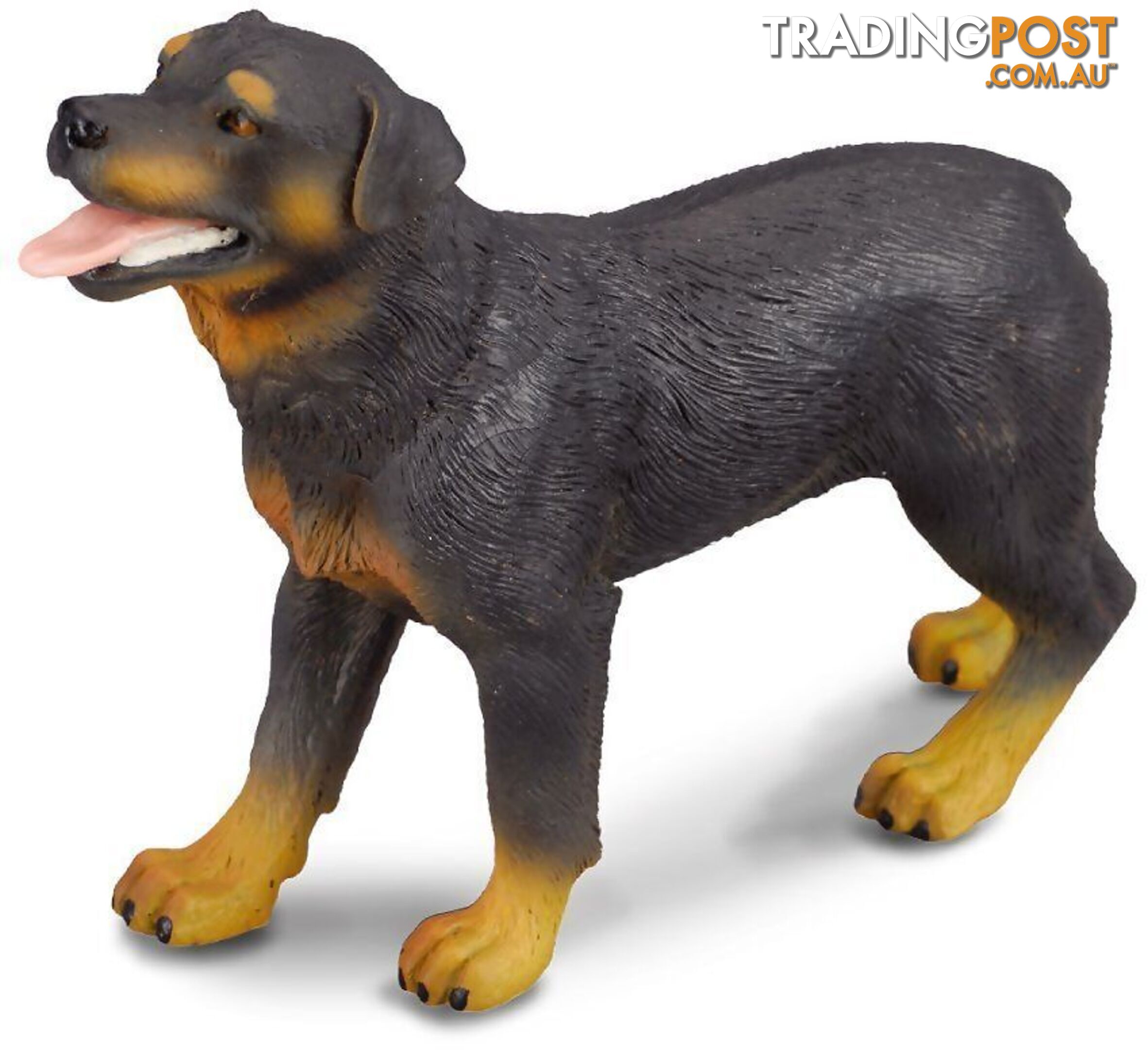 CollectA - Rottweiler Dog Large Figurine - Rpco88189 - 4892900881898