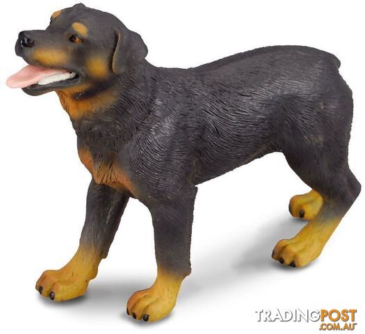 CollectA - Rottweiler Dog Large Figurine - Rpco88189 - 4892900881898