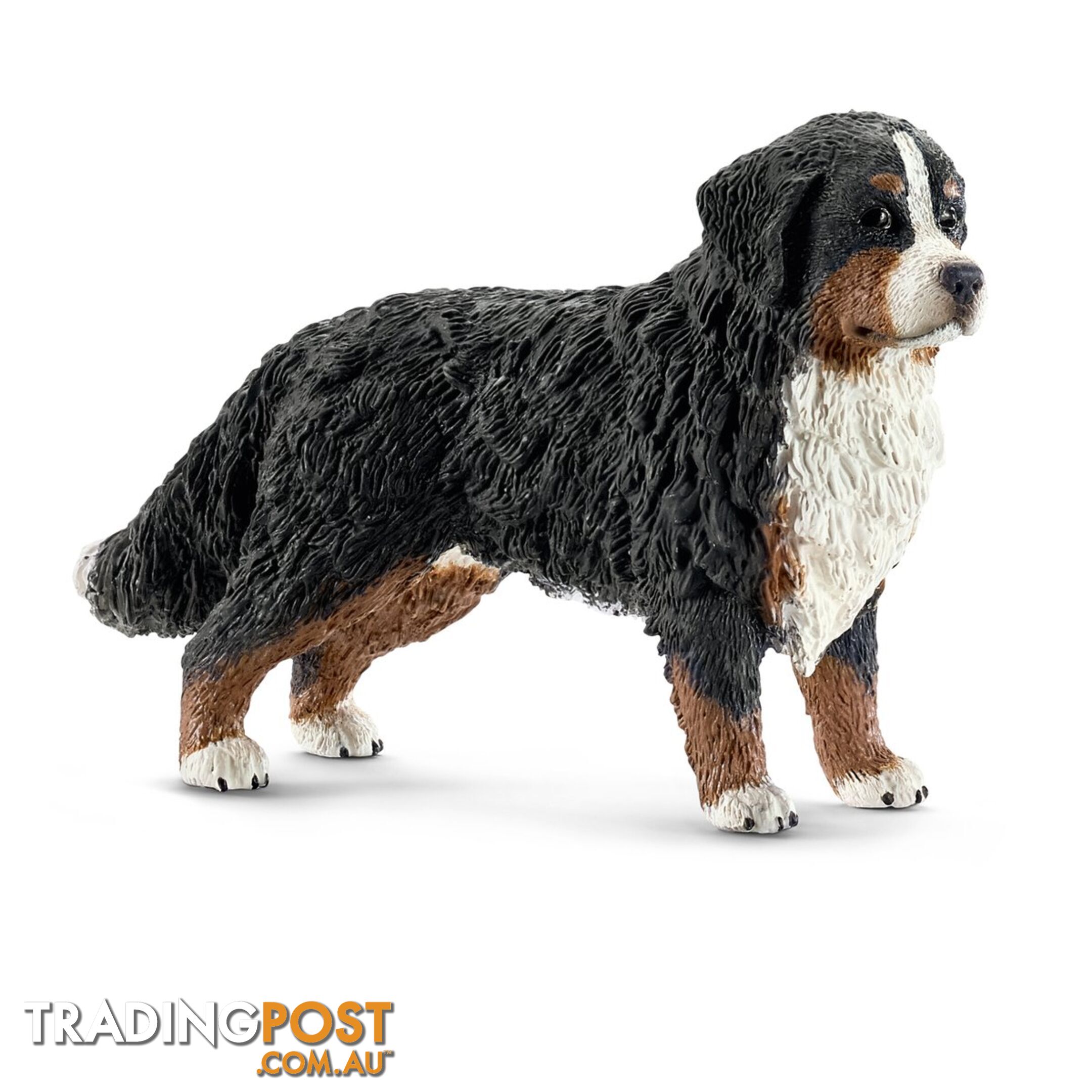 Schleich - Bernese Mountain Dog Sc16397 - 4005086163973