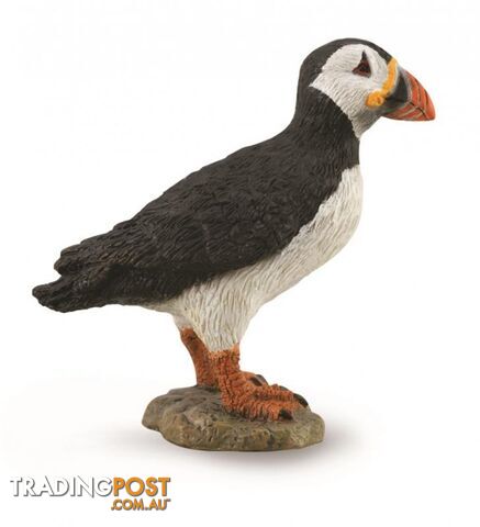 CollectA Puffin Bird Medium Animal Figurine - Rpco88895 - 4892900888958