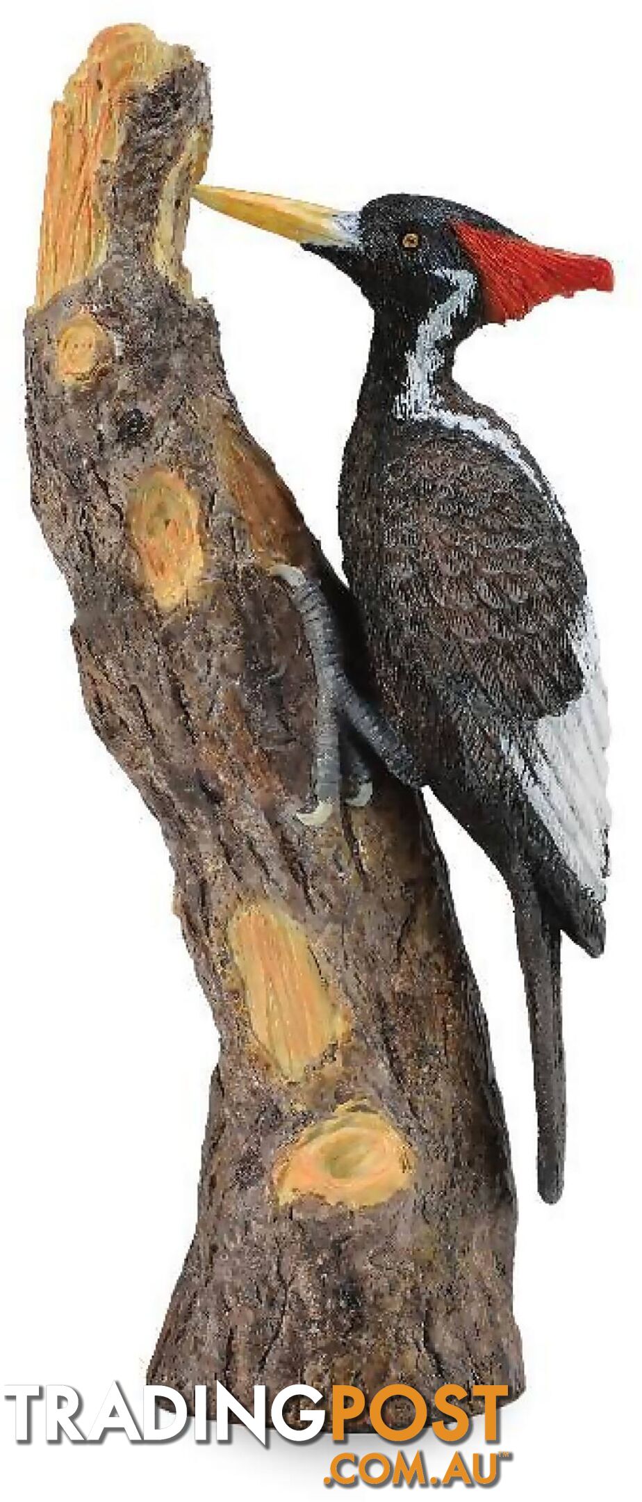 CollectA - Ivory Billed Woodpecker Bird Figurine - Rpco88802 - 4892900888026