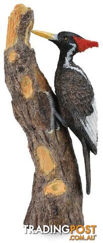 CollectA - Ivory Billed Woodpecker Bird Figurine - Rpco88802 - 4892900888026